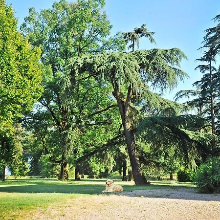 Clos Saint-Blaise Albi Zewnętrze zdjęcie