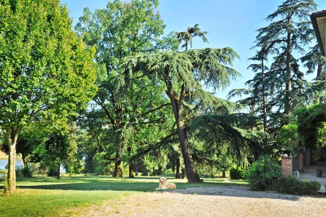 Clos Saint-Blaise Albi Zewnętrze zdjęcie